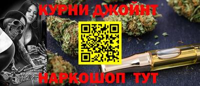сатива Краснодар