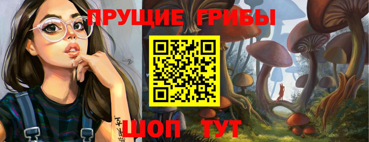 Коммунар  Галлюциногенные грибы Psilocybe  хочу   Вход с VPN 
